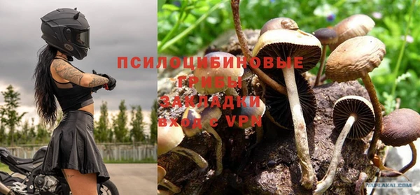 трава Алексин
