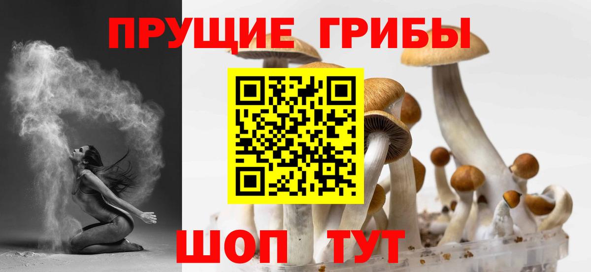 Псилоцибиновые грибы GOLDEN TEACHER Татарск